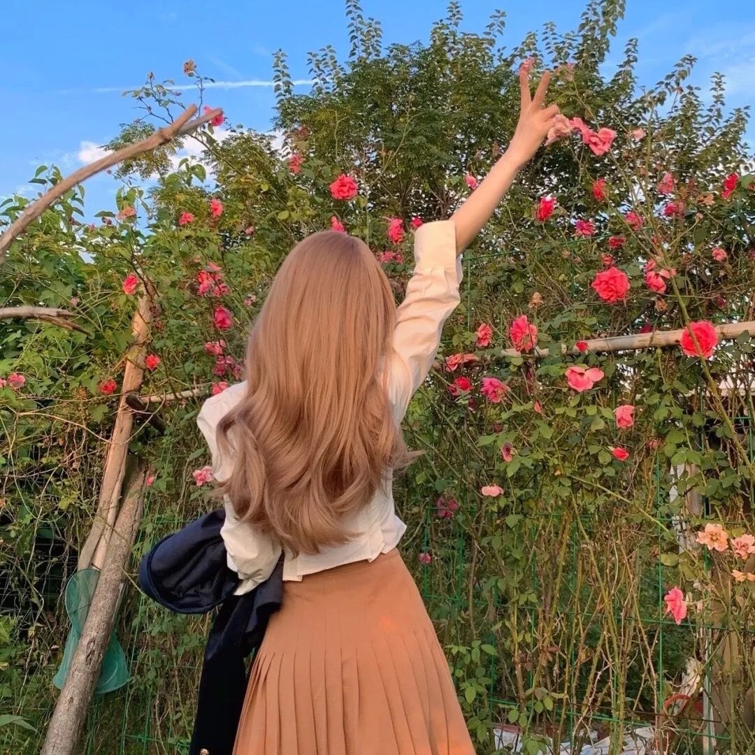 冲绳小芙蓉
